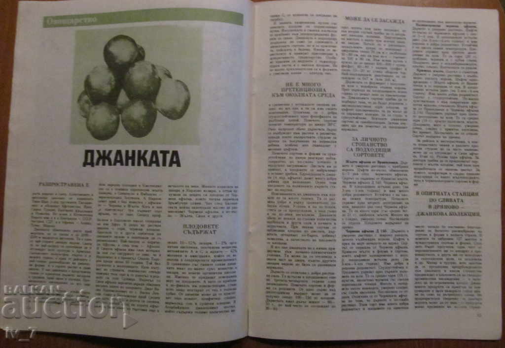 Delivery of MAGAZINE "PERSONAL AND HELPFUL ECONOMY" - ISSUE 11, 1988