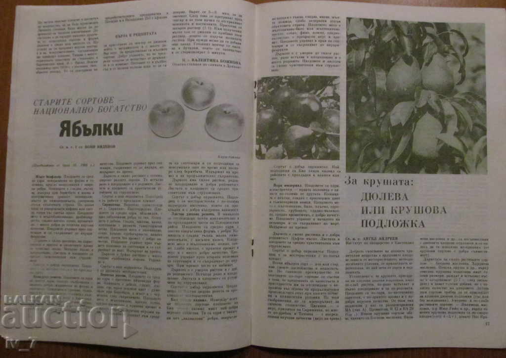 MAGAZINE "PERSONAL AND HELPFUL ECONOMY" - ISSUE 11, 1988 - 5