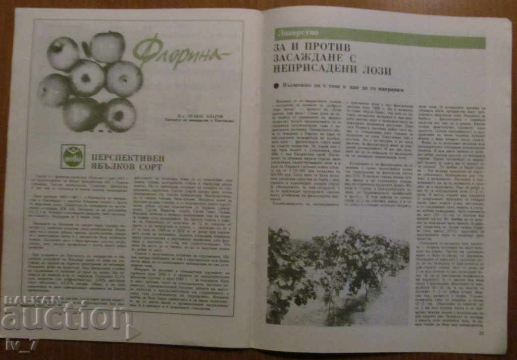 MAGAZINE "PERSONAL AND HELPFUL ECONOMY" - ISSUE 11, 1988 - 6