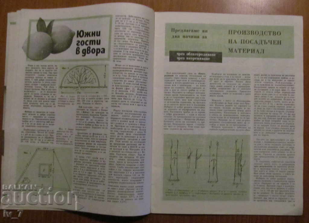 Delivery of MAGAZINE "PERSONAL AND HELPFUL ECONOMY" - ISSUE 12, 1988 Delivery of MAGAZINE "PERSONAL AND HELPFUL ECONOMY" - ISSUE 12, 1988