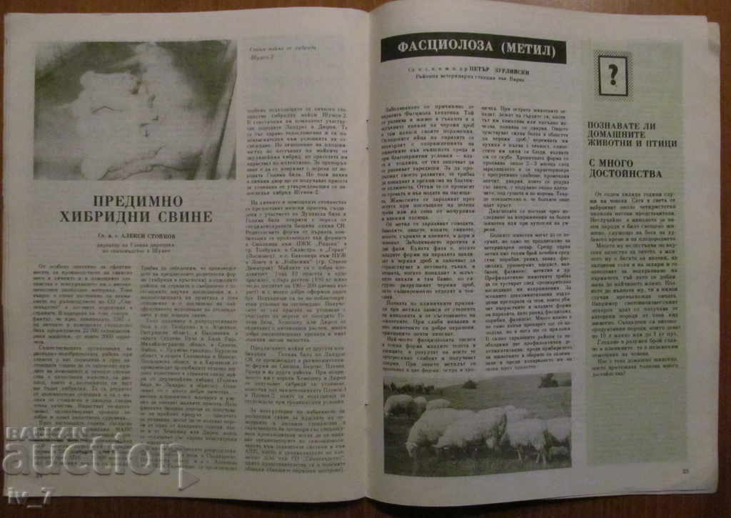 MAGAZINE "PERSONAL AND HELPFUL ECONOMY" - ISSUE 12, 1988 - 5 MAGAZINE "PERSONAL AND HELPFUL ECONOMY" - ISSUE 12, 1988 - 5