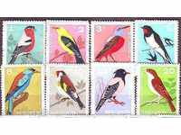 Π.Χ. 1587-594 Songbirds (χωρίς τις 8 μ.μ.) !!!