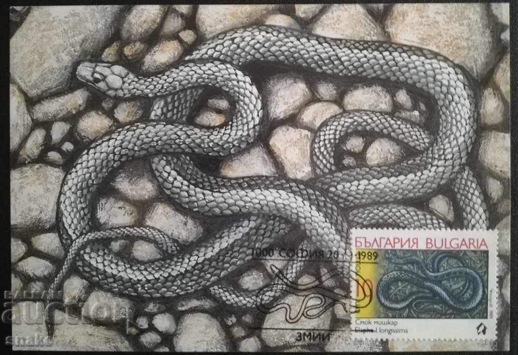 Card Maximum - Șerpi