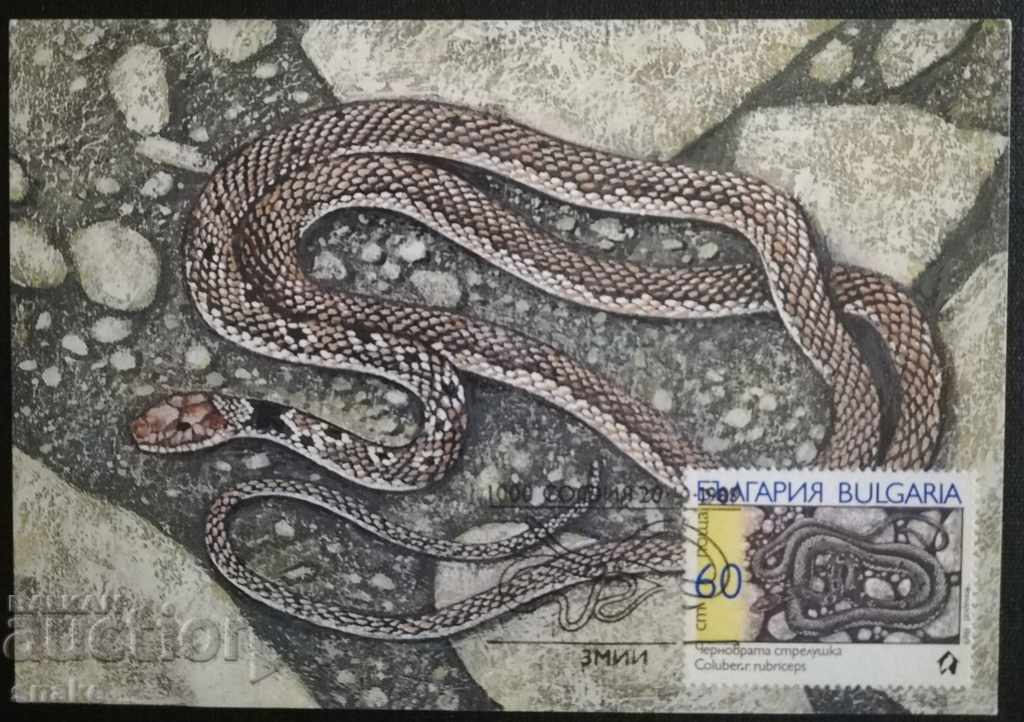 Карта максимум - Змии