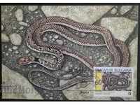 Μέγιστος χάρτης - Φίδια