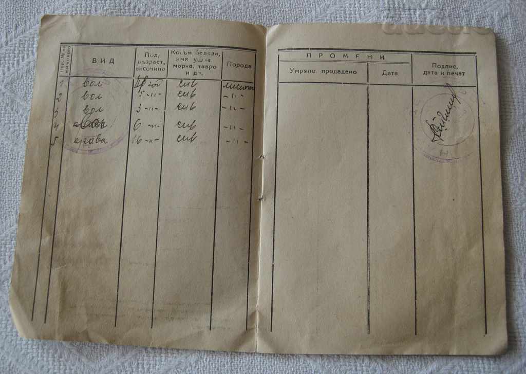 Auction DZI INSURANCE ANIMALS HEALTH INSURANCE BOOK 1949 Auction DZI INSURANCE ANIMALS HEALTH INSURANCE BOOK 1949