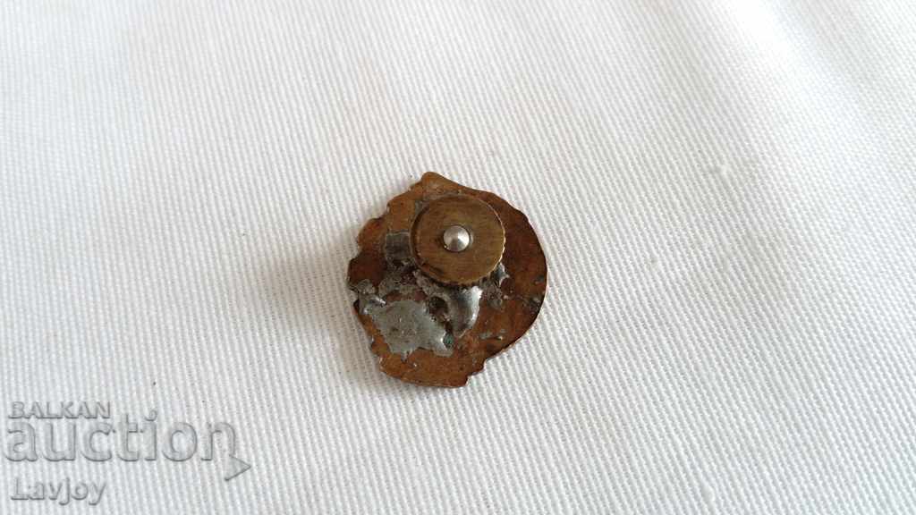 Auction Ready for PVC DOSO screw - !!!! Auction Ready for PVC DOSO screw - !!!!