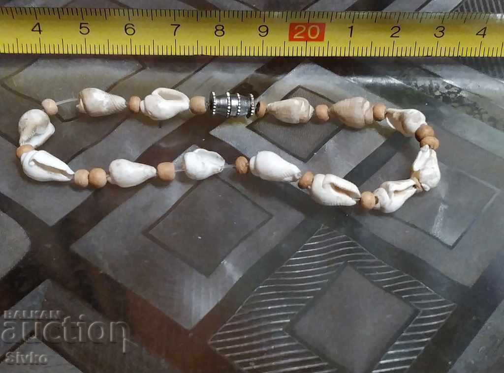 Shells (in Ukrainian currency)