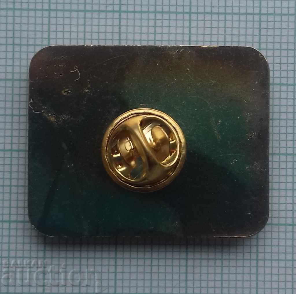 Auction  9073 Badges - Tampa 2018 - USA