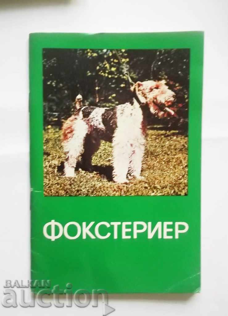 Ловно куче Фокстериер 1980 г. БЛРС