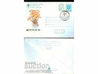 ΜΗ ΧΡΗΣΙΜΟΠΟΙΗΜΕΝΟΣ ΦΑΚΕΛΟΣ ΤΑΧΥΔΡΟΜΕΙΟΥ ECOFILA PHILATELIC ΕΚΘΕΣΗ 1991 25+5