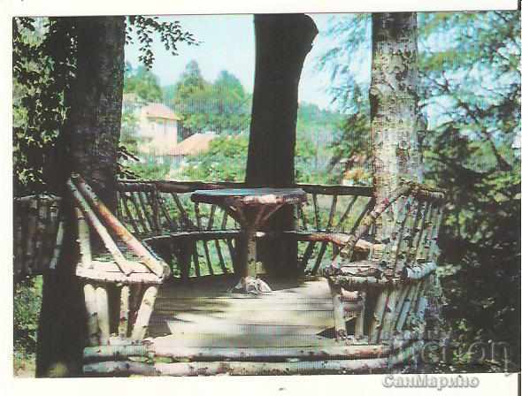 Postcard Bulgaria G. Dimitrov Resort Tree-gazebo *