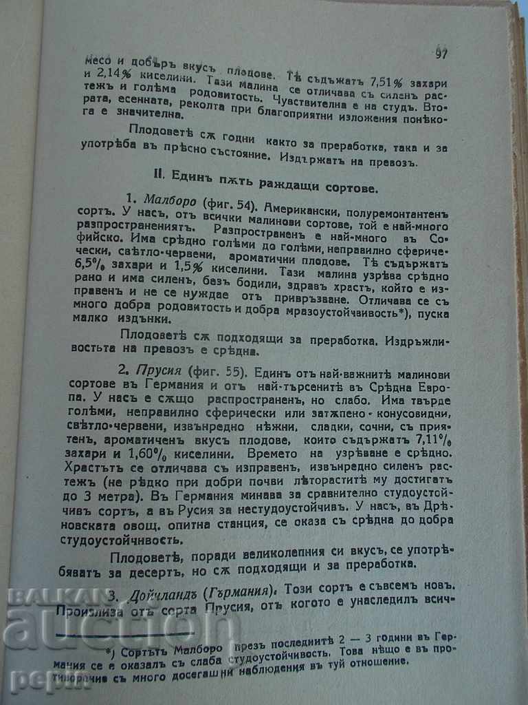 Λαχανικά φράουλας με τιμή 5.00 BGN | € 2.56 Λαχανικά φράουλας με τιμή 5.00 BGN | € 2.56
