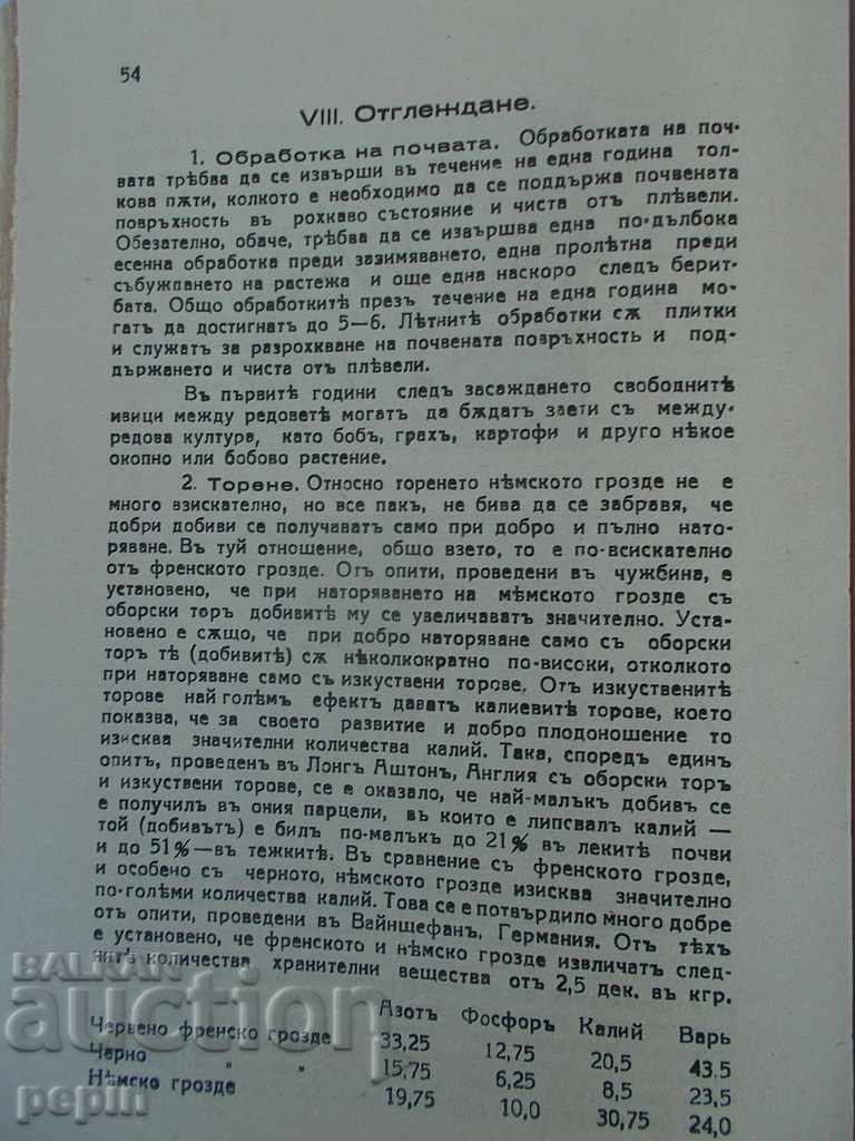 Παράδοση Λαχανικά φράουλας Παράδοση Λαχανικά φράουλας