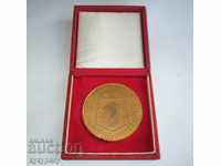 Medalia medalie a plăcii Soc vechi Muzeul de Istorie Militară al BNA
