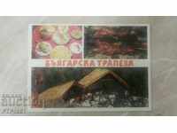 statiune-Nisipurile de Aur