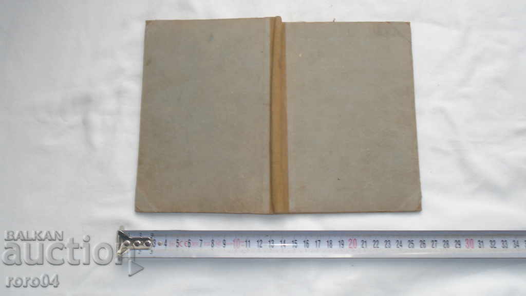 ROBIN HOOD - 7 ROBIN HOOD - 7