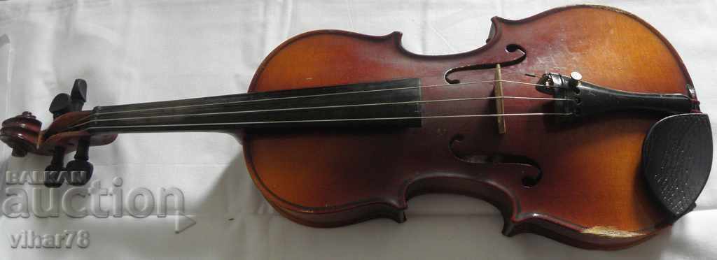 Livrarea vioară Livrarea vioară