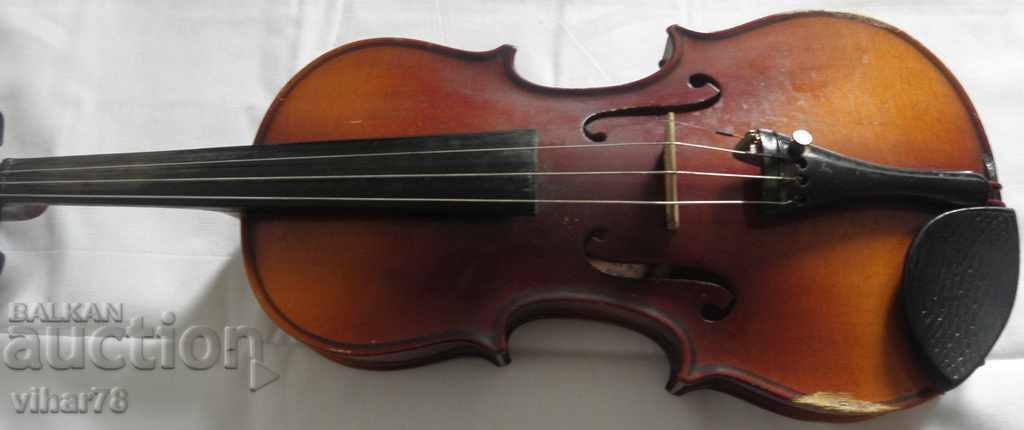 vioară - 5 vioară - 5