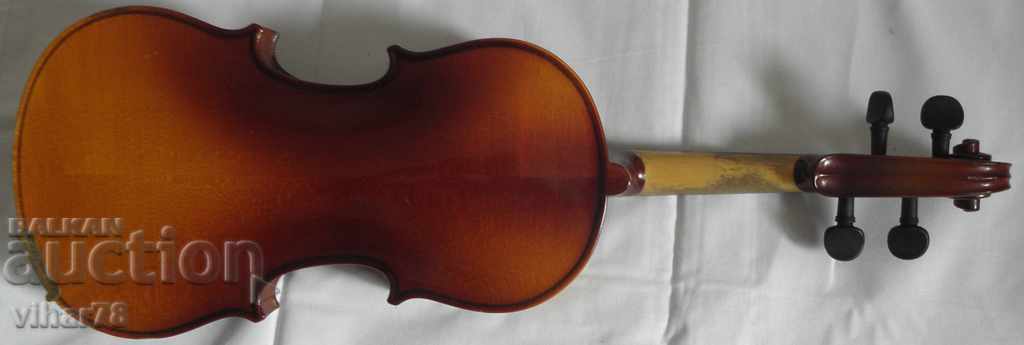 vioară - 6 vioară - 6