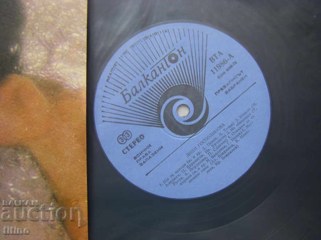 Auction  VTA 11986 - Didi Gospodinova - I Will Find You