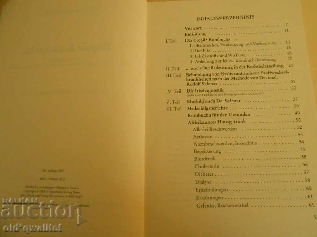 Auction  A book about KOMBUCHA, German, ideas + knowledge + skills = profit