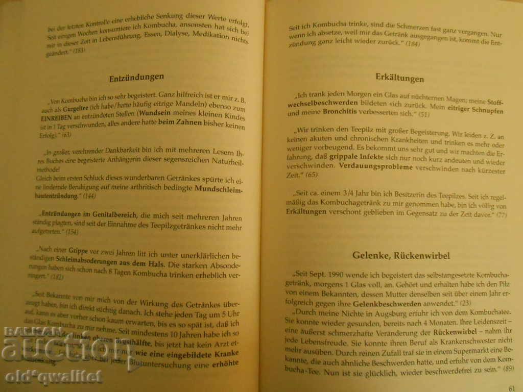A book about KOMBUCHA, German, ideas + knowledge + skills = profit - 5
