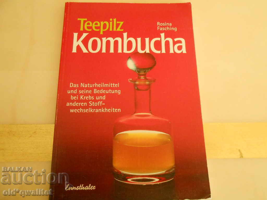 A book about KOMBUCHA, German, ideas + knowledge + skills = profit