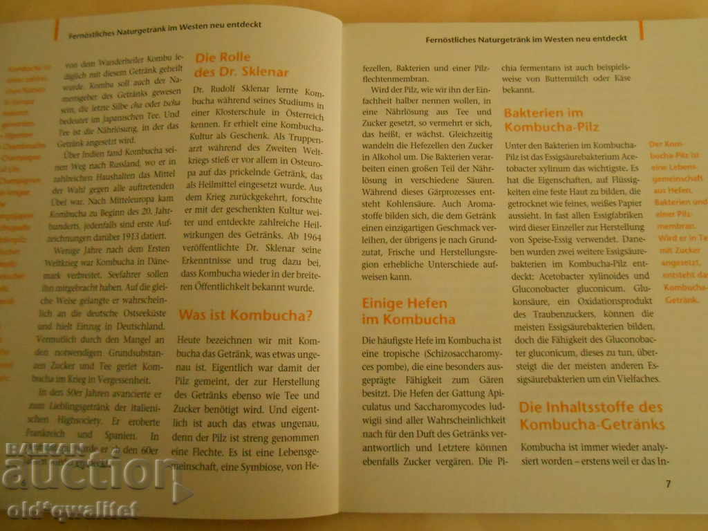 Licitație Carte despre KOMBUCHA, 2 germane, idei + cunoștințe + abilități = profit Licitație Carte despre KOMBUCHA, 2 germane, idei + cunoștințe + abilități = profit