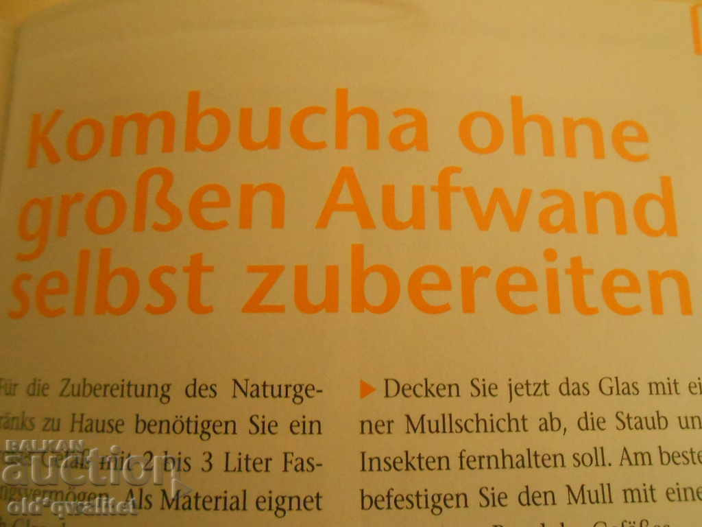 Livrarea Carte despre KOMBUCHA, 2 germane, idei + cunoștințe + abilități = profit Livrarea Carte despre KOMBUCHA, 2 germane, idei + cunoștințe + abilități = profit