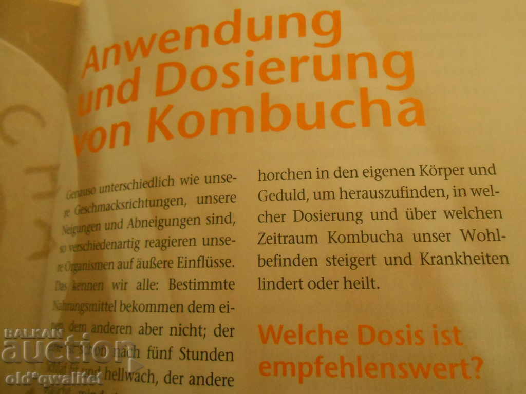 Carte despre KOMBUCHA, 2 germane, idei + cunoștințe + abilități = profit - 5 Carte despre KOMBUCHA, 2 germane, idei + cunoștințe + abilități = profit - 5