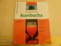 Book about KOMBUCHA, 2 German, ideas + knowledge + skills = profit
