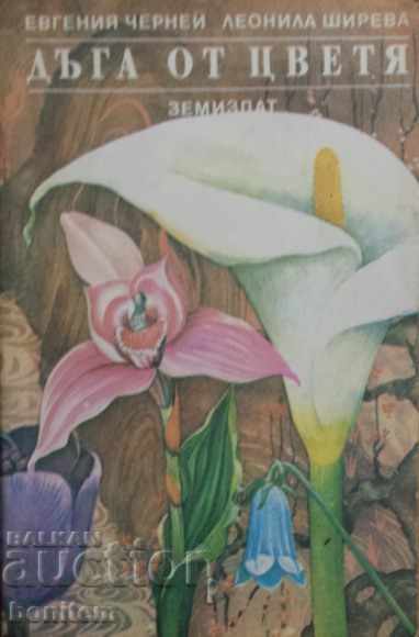 Curcubeu de flori - Eugenia Cernei Leon Shireva