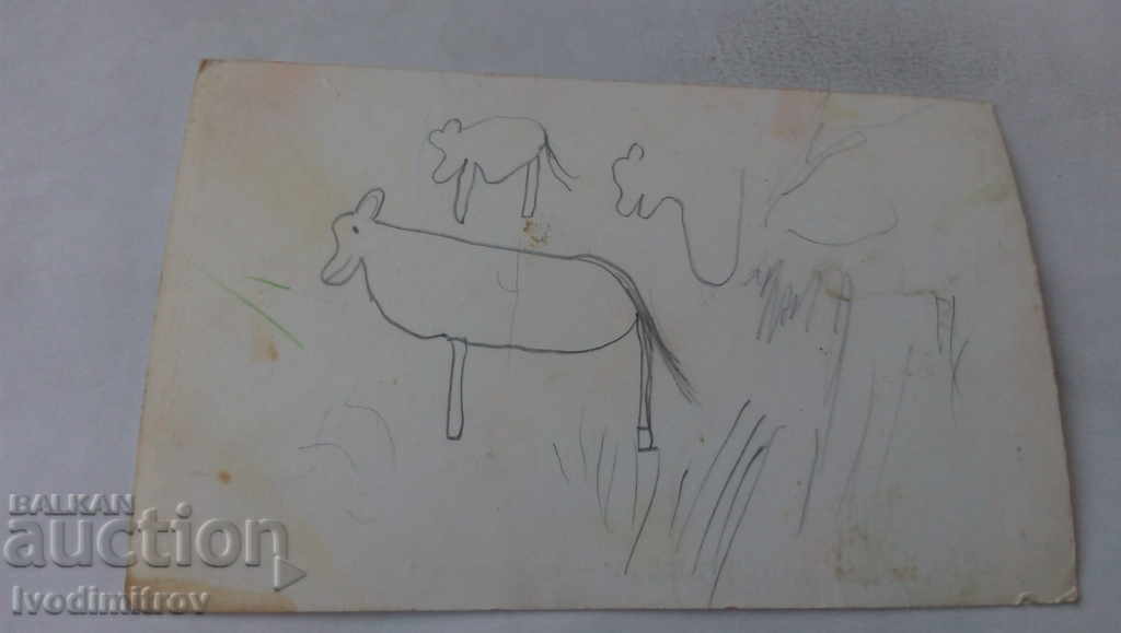 Postcard Preslav Holiday home Patleina with price 1.45 BGN | € 0.74 Postcard Preslav Holiday home Patleina with price 1.45 BGN | € 0.74