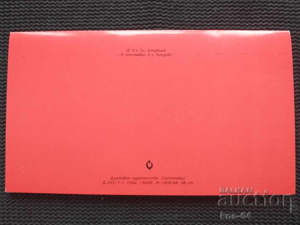 Auction  Social propaganda September 9th