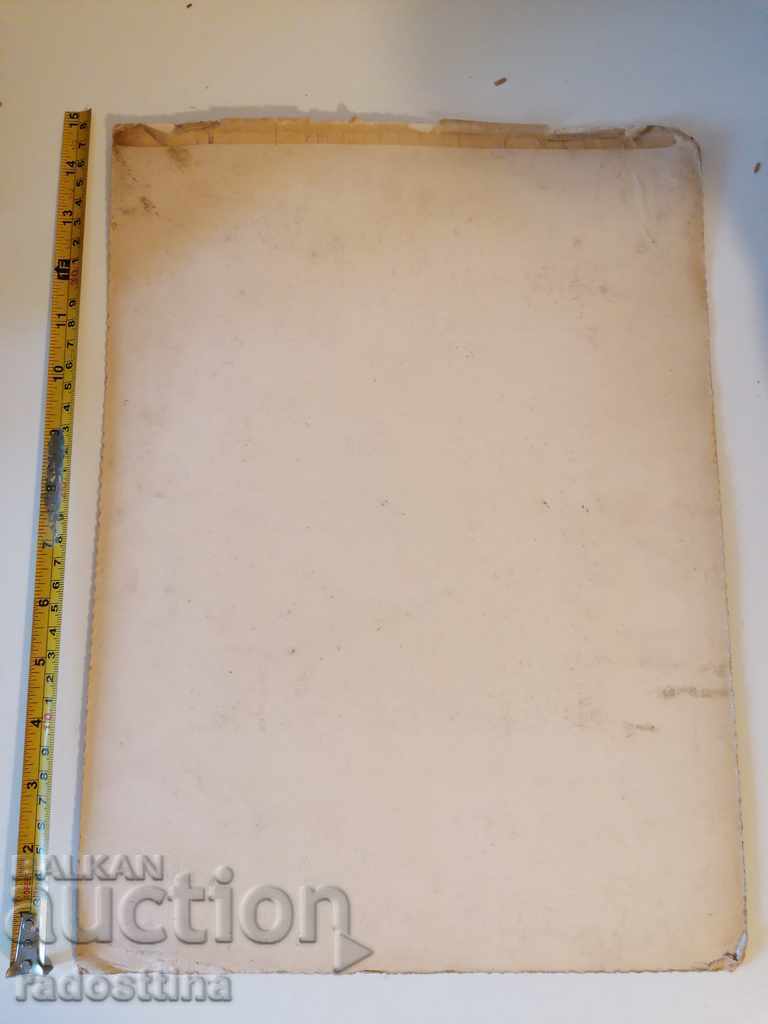 Φωτογραφία φωτογραφιών από χαρτόνι Photo Wagtail με τιμή 19.99 BGN | € 10.22 Φωτογραφία φωτογραφιών από χαρτόνι Photo Wagtail με τιμή 19.99 BGN | € 10.22