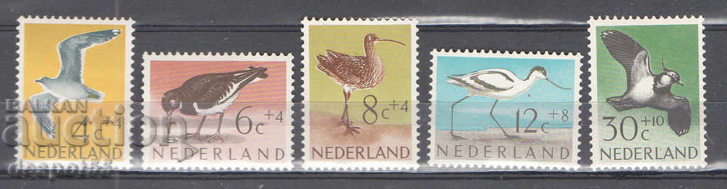 1961. Нидерландия. Благотворителна серия.