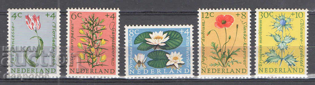 1960. Нидерландия. Благотворителни марки - Цветя.