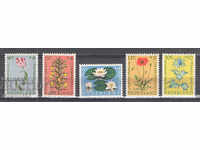 1960. Нидерландия. Благотворителни марки - Цветя.