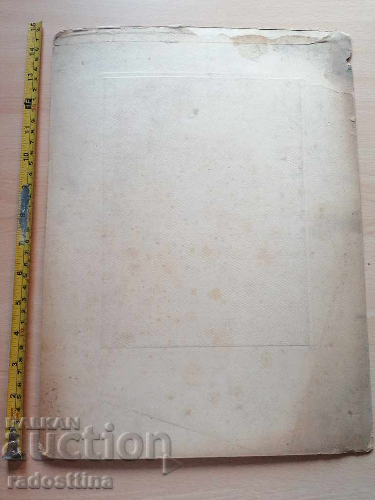 Photo cardboard photo Photo Wagtail with price 19.99 BGN | € 10.22 Photo cardboard photo Photo Wagtail with price 19.99 BGN | € 10.22