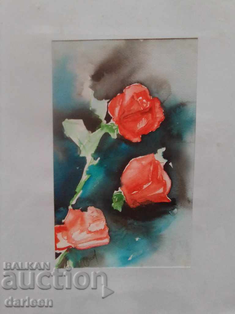 Рози 10, П.Стоева