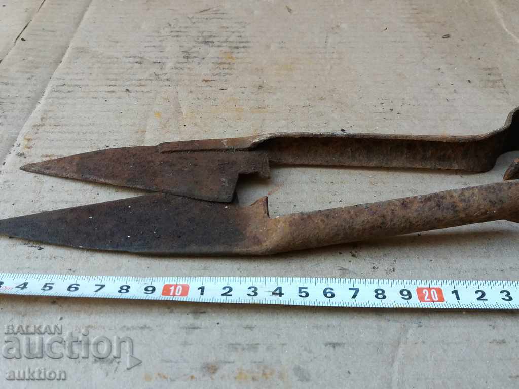 Delivery of STAR HORSES HANDLE FOR SHEEPING THE SHEEP Delivery of STAR HORSES HANDLE FOR SHEEPING THE SHEEP