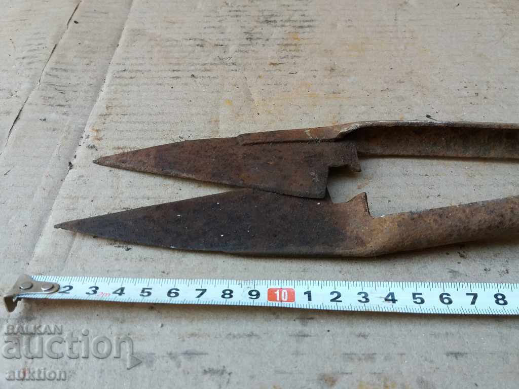 STAR HORSES HANDLE FOR SHEEPING THE SHEEP - 5 STAR HORSES HANDLE FOR SHEEPING THE SHEEP - 5