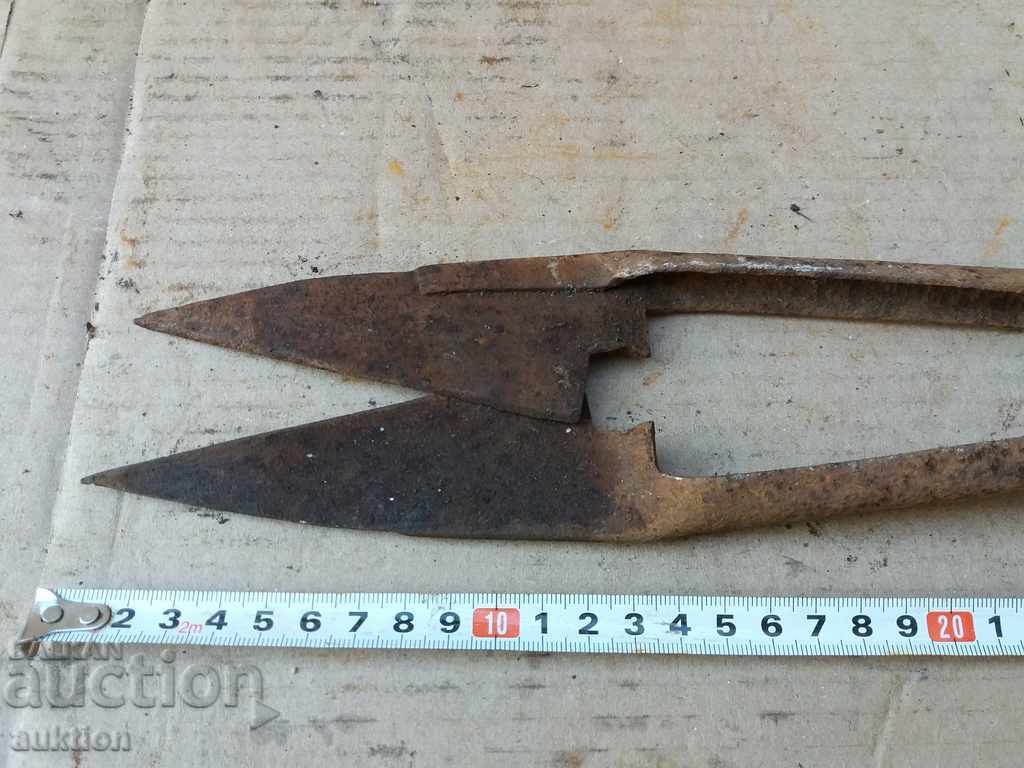 STAR HORSES HANDLE FOR SHEEPING THE SHEEP - 6 STAR HORSES HANDLE FOR SHEEPING THE SHEEP - 6