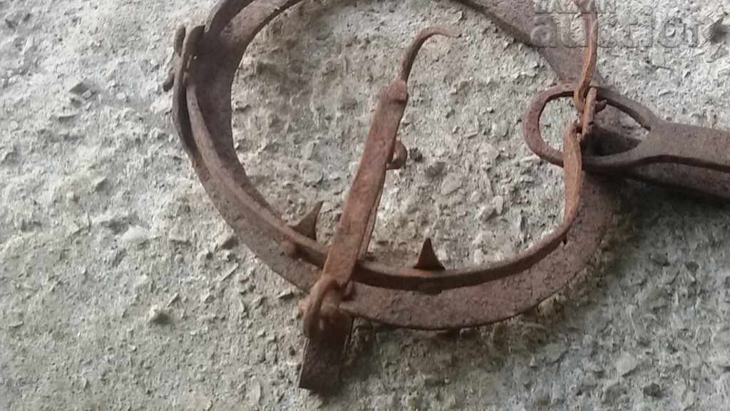 Delivery of old forged trap for beaded golden ferrets WORKING Delivery of old forged trap for beaded golden ferrets WORKING