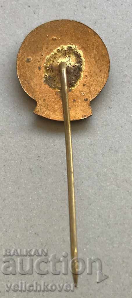 29227 Bulgaria tourist sign BTS Bulgarian tourist with price 2.00 BGN | € 1.02 29227 Bulgaria tourist sign BTS Bulgarian tourist with price 2.00 BGN | € 1.02