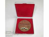People's Republic of Bulgaria Socialist pilot plaque medal medal Bulgarian Military Aviation