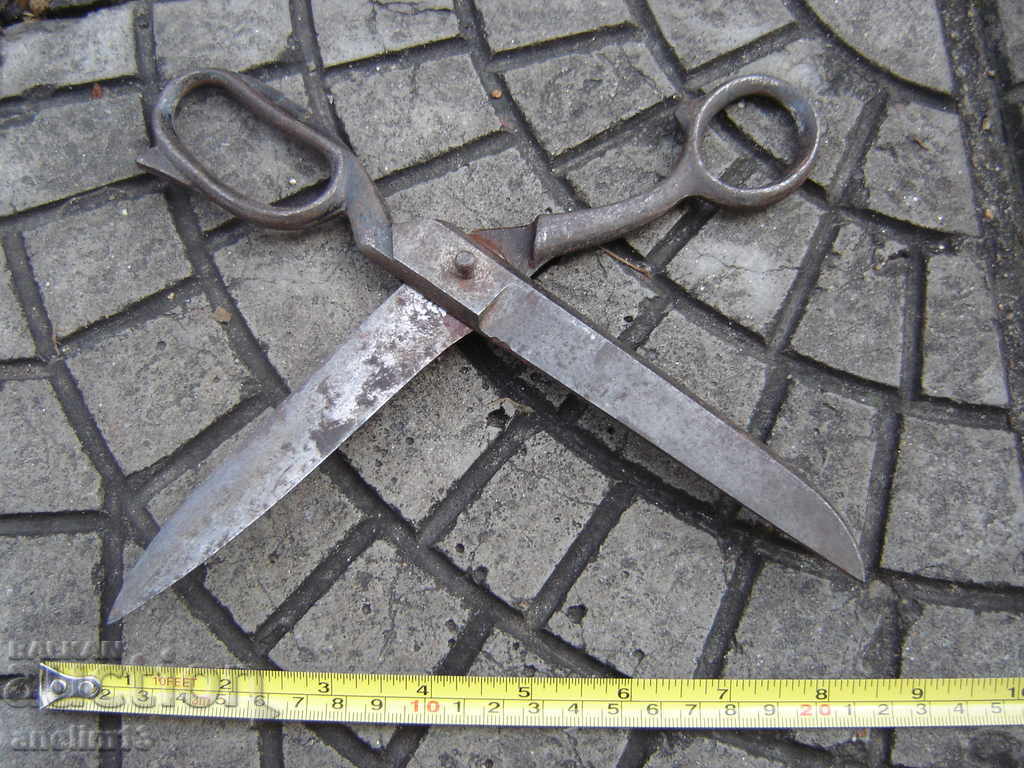 Δημοπρασία ΠΑΙΔΙ ΜΠΛΕ Δημοπρασία ΠΑΙΔΙ ΜΠΛΕ