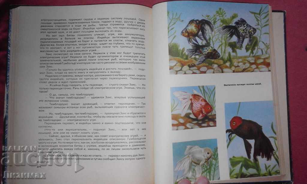 Entertaining aquarium - M. Mahlin with price 4.99 BGN | € 2.55