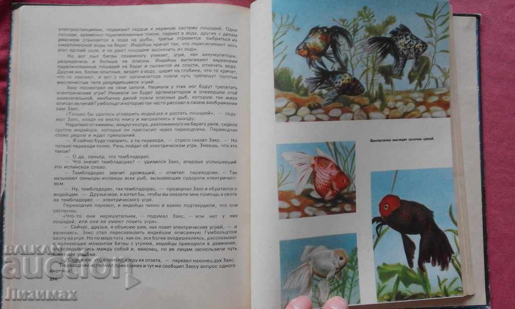 Auction  Entertaining aquarium - M. Mahlin